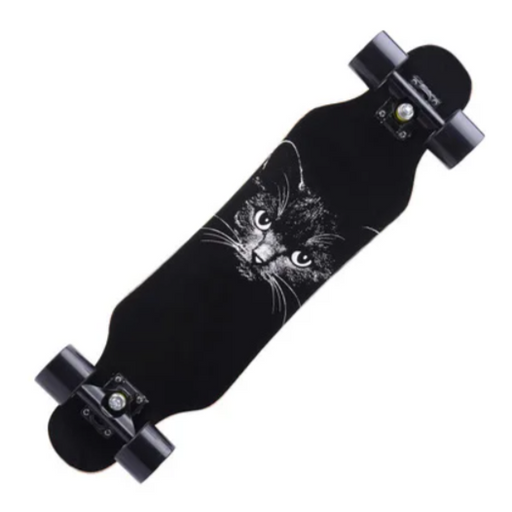 79cm/31" Beginner Skateboard Longboard