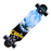 79cm/31" Beginner Skateboard Longboard