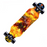 79cm/31" Beginner Skateboard Longboard