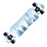 79cm/31" Beginner Skateboard Longboard