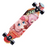 79cm/31" Beginner Skateboard Longboard