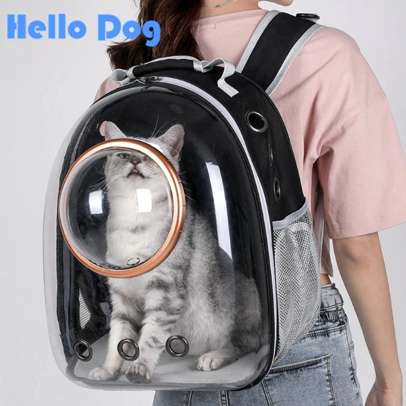 Transparent Capsule Pet Cat Backpack