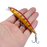 Minnow Fishing Lure