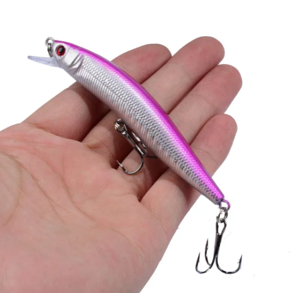 Minnow Fishing Lure