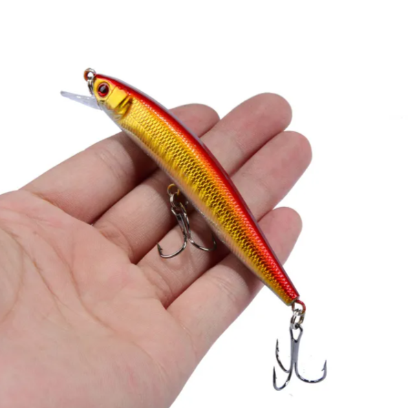 Minnow Fishing Lure