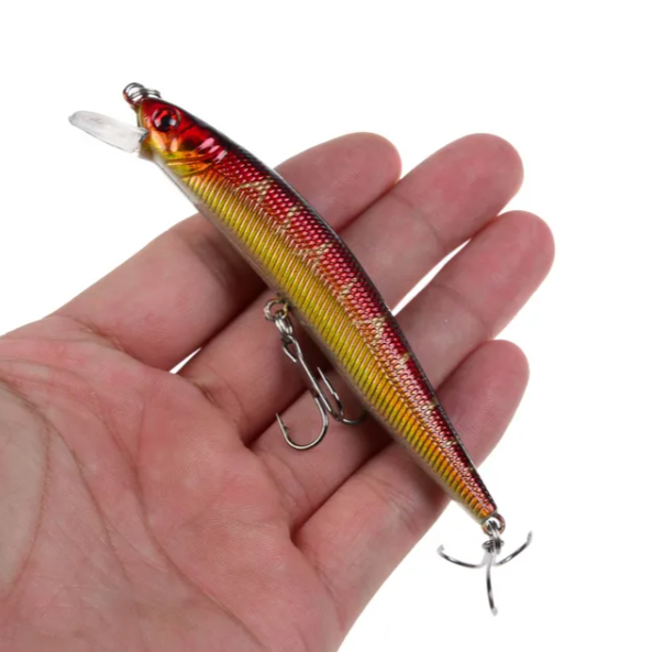 Minnow Fishing Lure