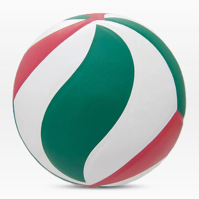 Printing Volleyball Ball, Model 5500