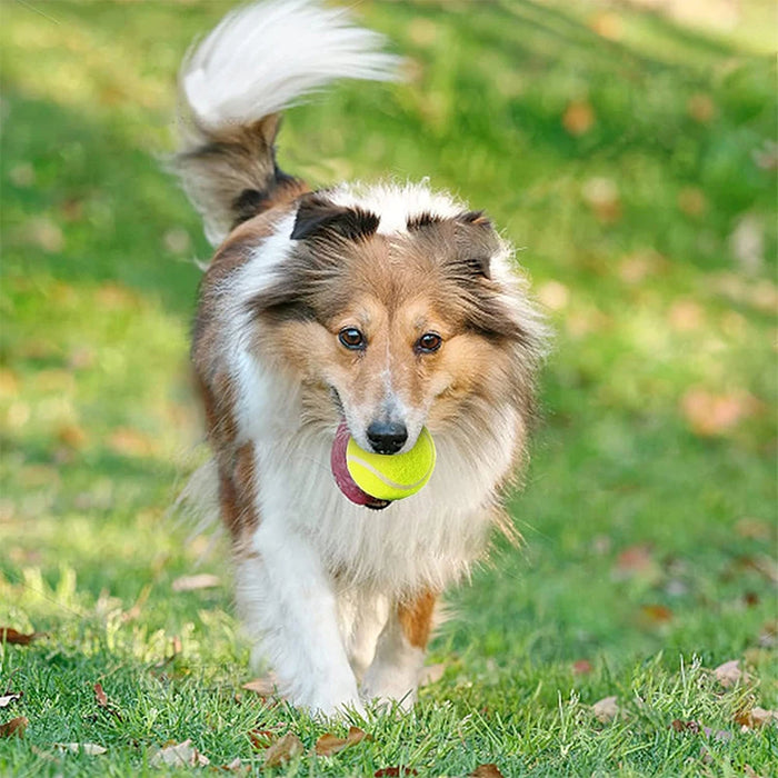 6 pcs 5cm Tennis Balls for Dog Tennis Launcher